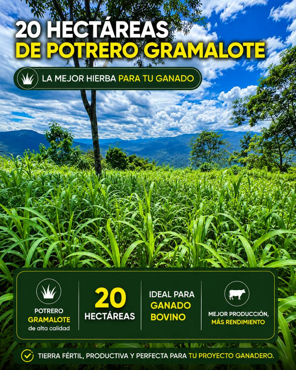 Finca de 86.0221 hectáreas en Tres Copales en Tres Copales, Santa Susana de Chiviaza, Limón Indanza, Morona Santiago — vista 3