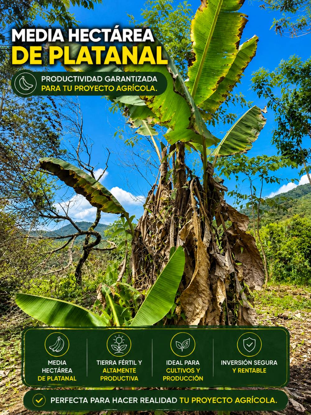 Finca de 86.0221 hectáreas en Tres Copales en Tres Copales, Santa Susana de Chiviaza, Limón Indanza, Morona Santiago — vista 6