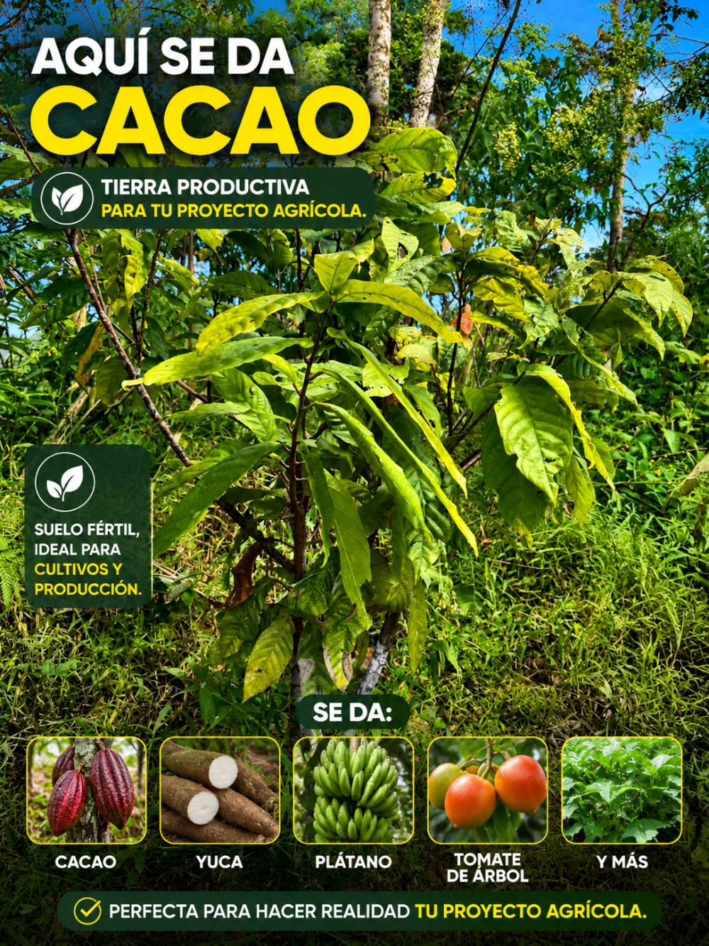 Finca de 86.0221 hectáreas en Tres Copales en Tres Copales, Santa Susana de Chiviaza, Limón Indanza, Morona Santiago — vista 5