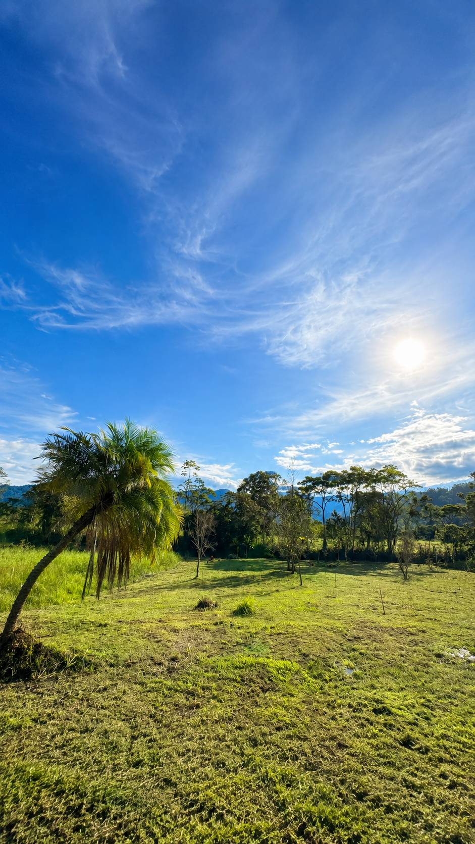 Terreno de 1000.17 m² en Jimbitono en Jimbitono, Macas, Morona, Morona Santiago — vista 4