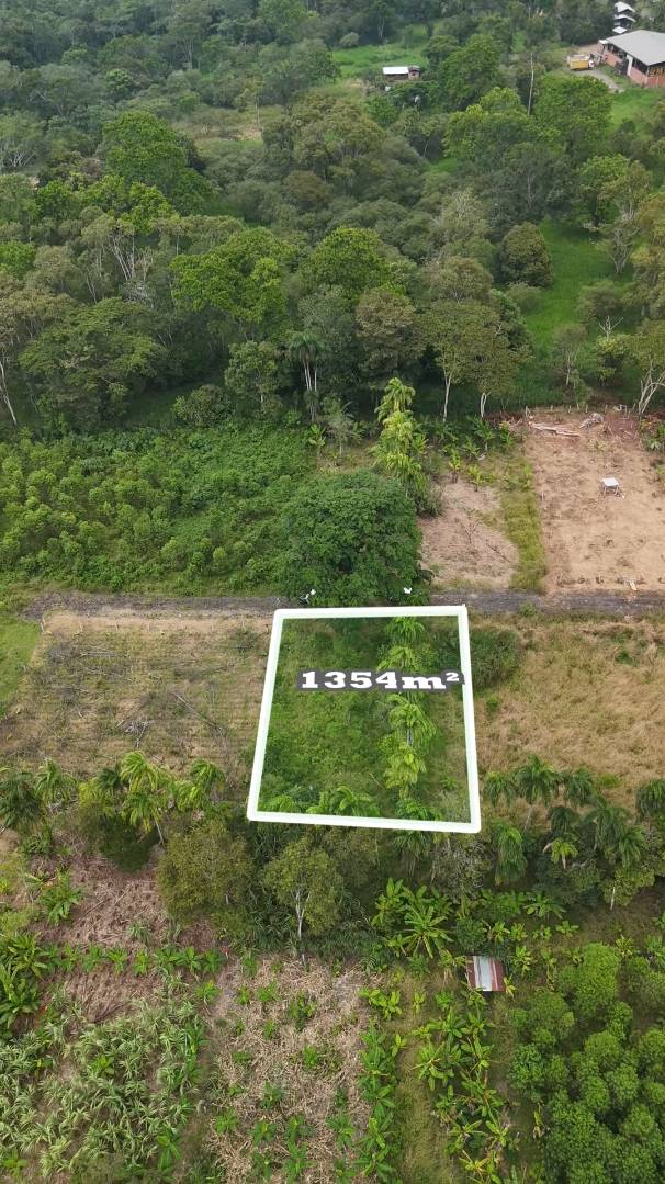 Lote de 1354 m² en Huambinimi (entre lotes N°11 y N°15), Sucúa, Morona Santiago — vista 4