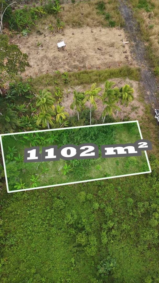 Lote de 1,102 m² en Huambinimi (Lote N°7), Sucúa, Morona Santiago — vista 3