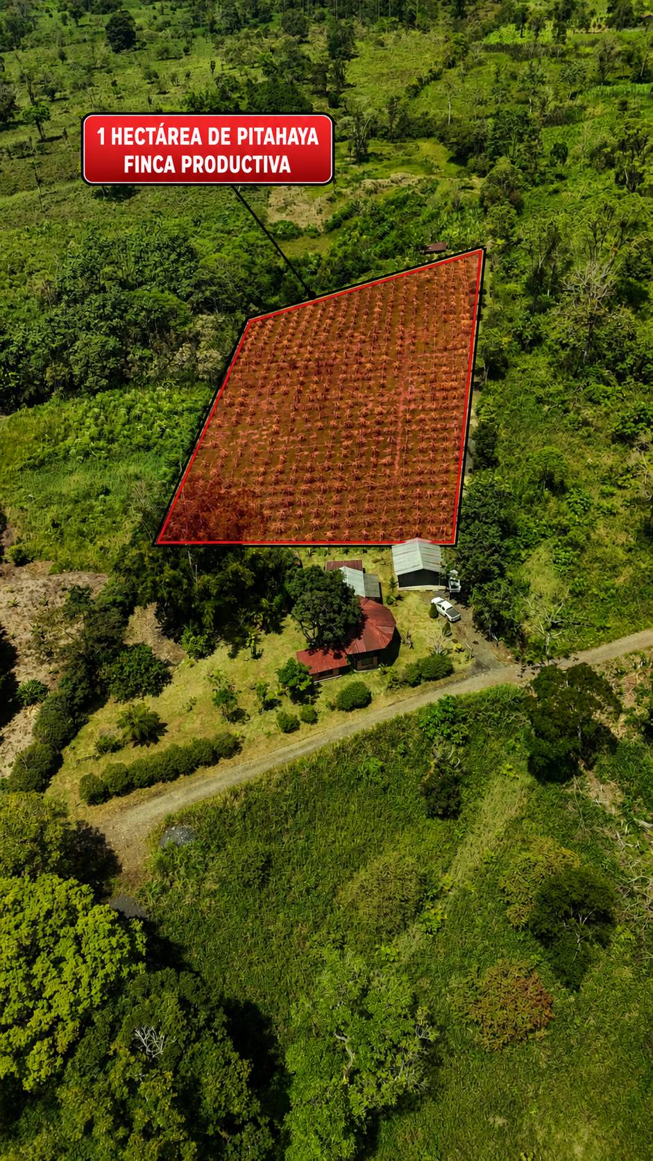 Finca de 2 hectáreas con 70 m de frente a vía en Santa Ana, Sevilla Don Bosco en Santa Ana, Sevilla Don Bosco, Morona Santiago — vista 2